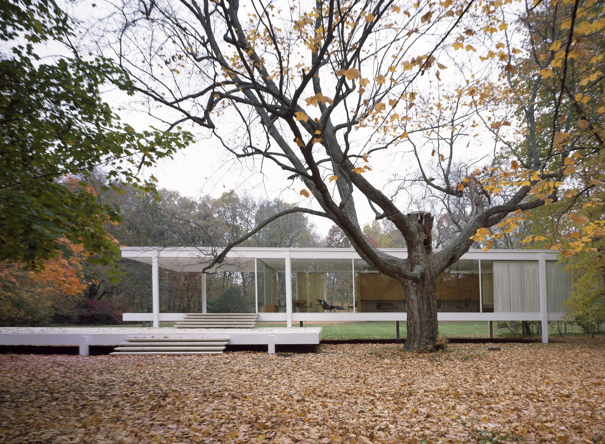 The glass and steel Farnsworth House seen across its lawn in autumn.