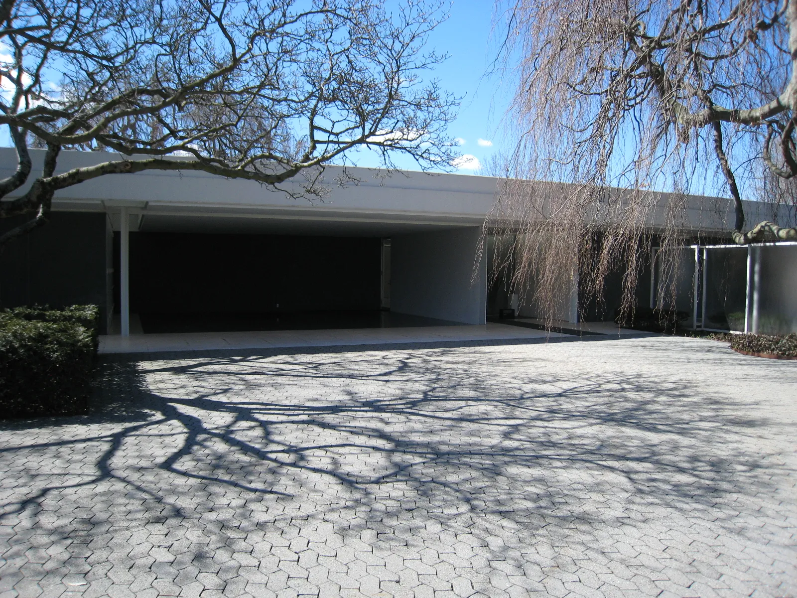 A low, flat-roofed white house beside a paved court, with a weeping tree in front.