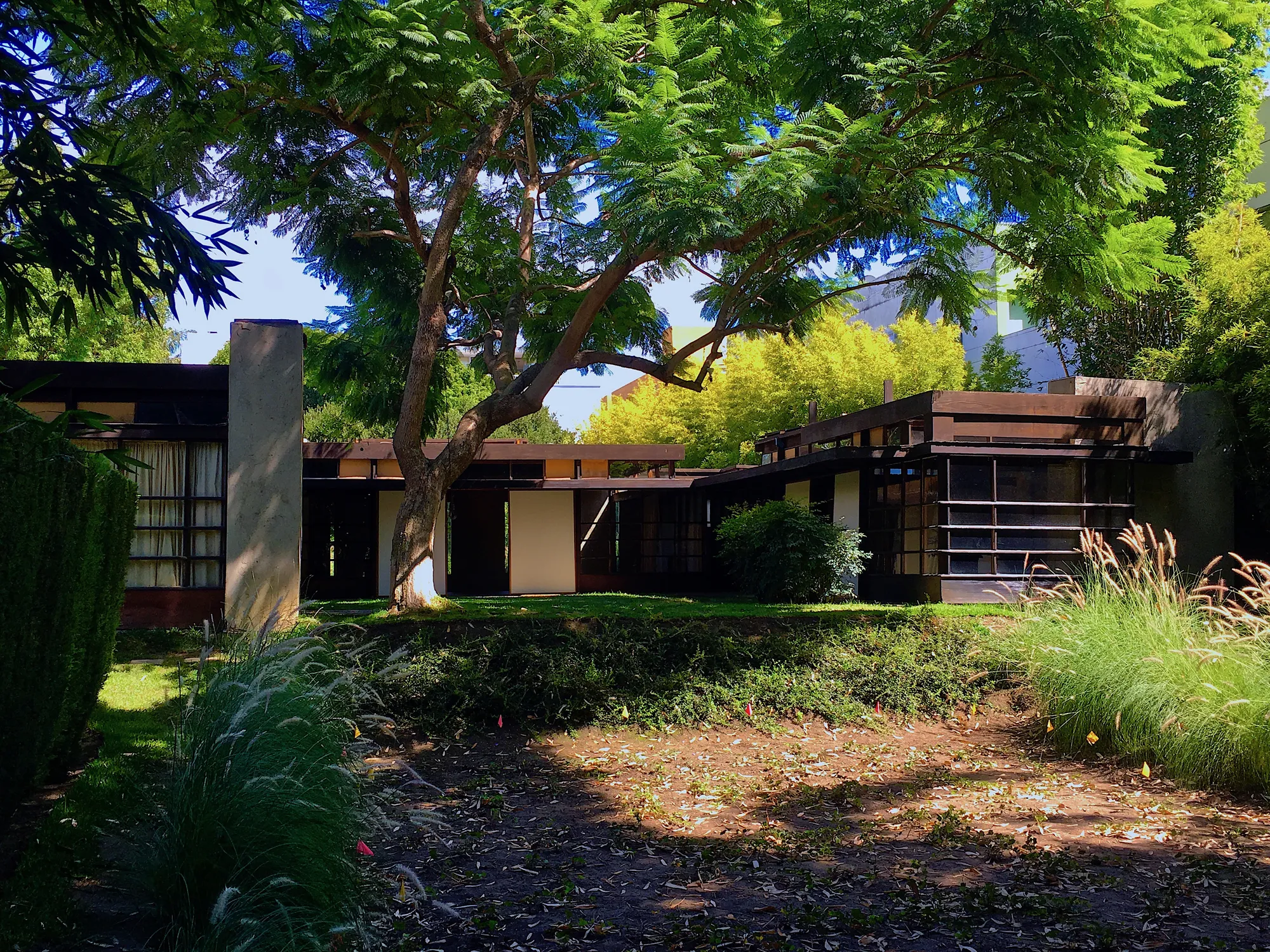 A low house of wood-framed walls and glass seen across a garden court, with a large tree and tall grasses in the foreground.