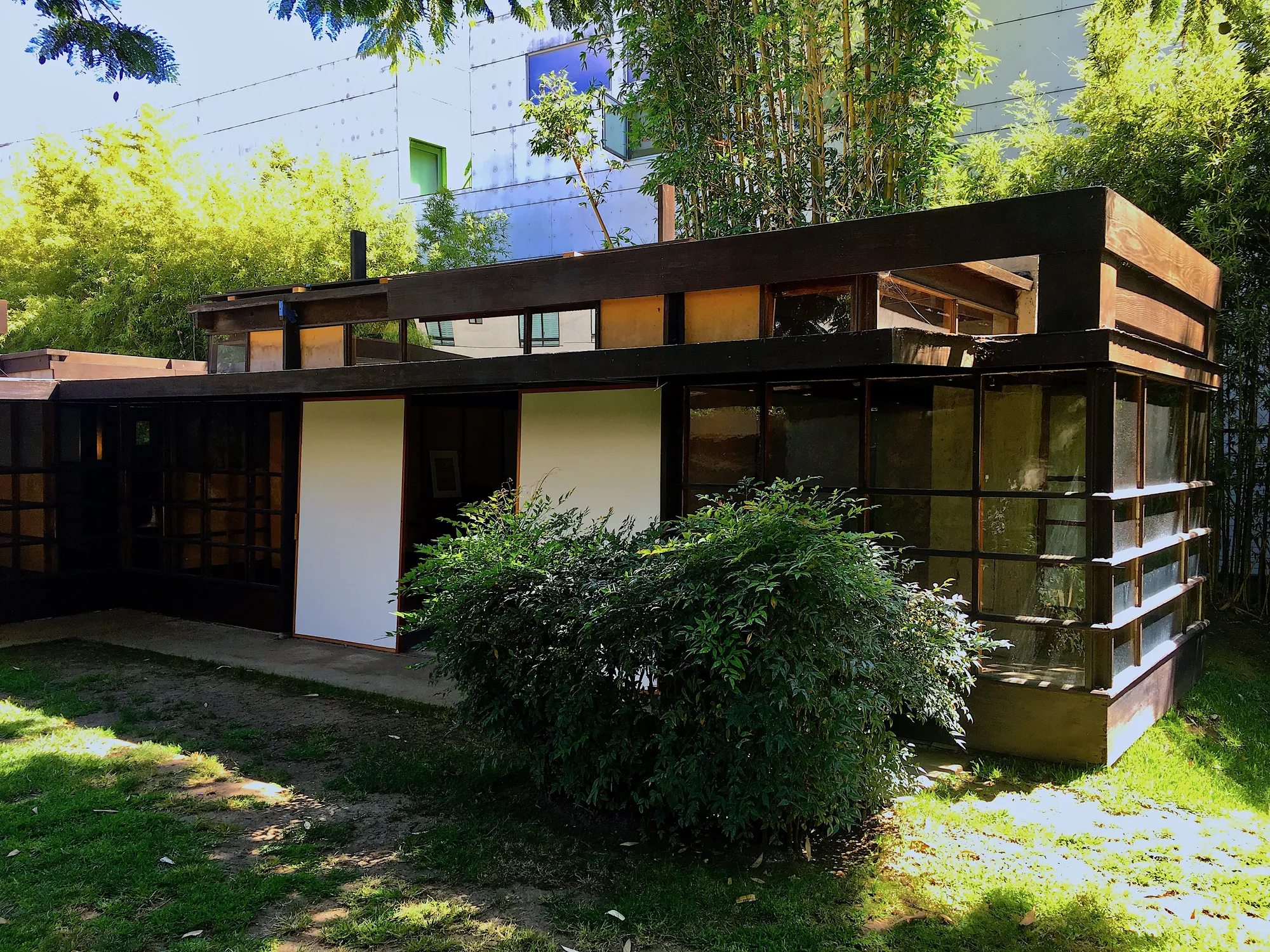 A low wood-framed house with glass walls and white panel doors, seen across a lawn with a shrub and tall bamboo behind.